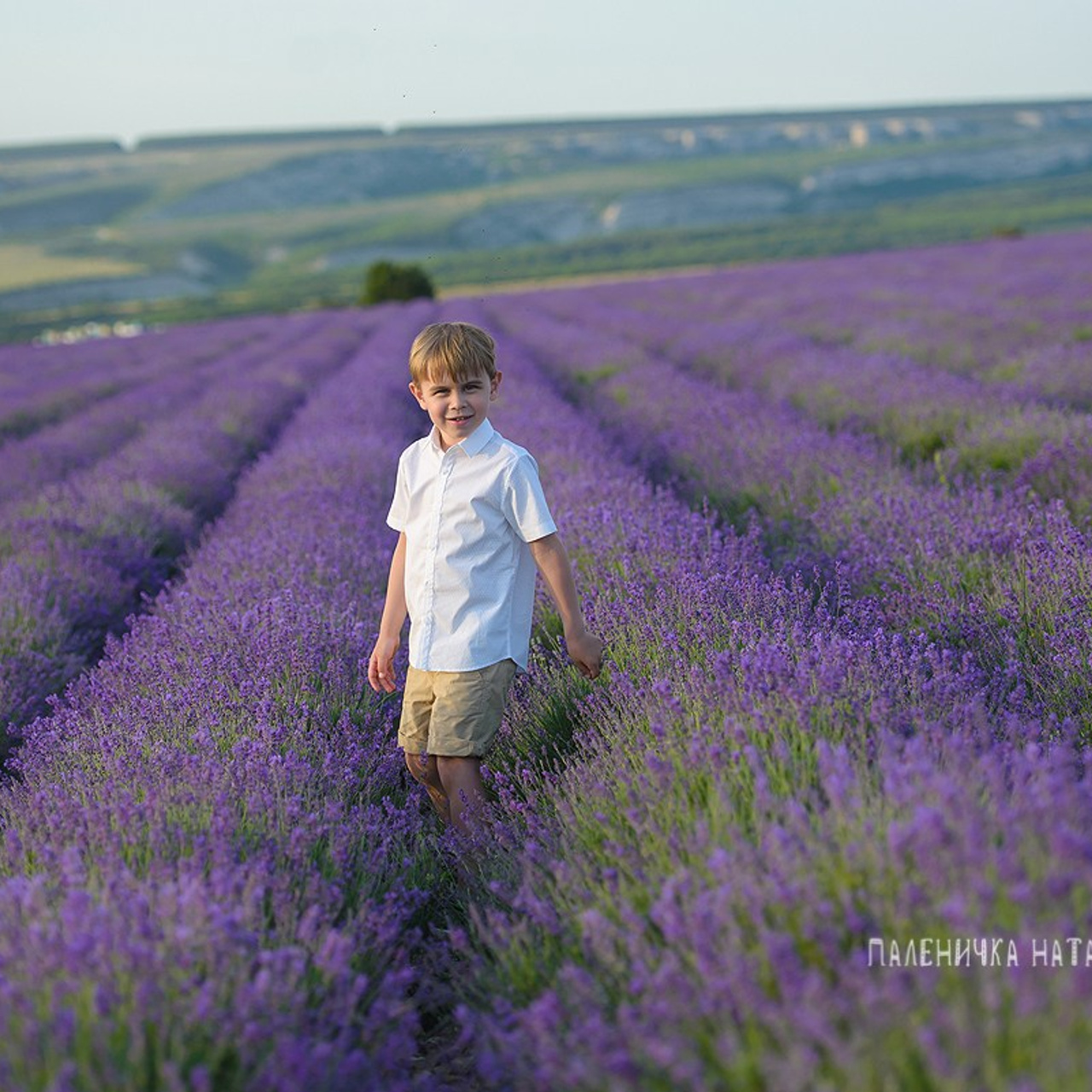 Фотосессия в Крымской лаванде. Профессиональный фотограф ЮБК и Севастополь