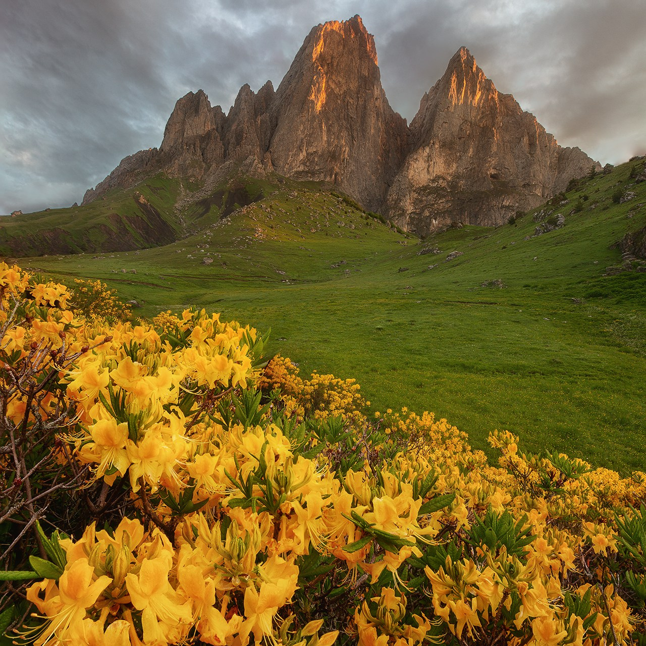 ПРИЭЛЬБРУСЬЕ И ИНГУШЕТИЯ 2026. Фототуры и обучение пейзажной фотографии