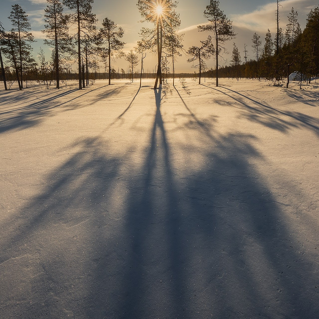 КОЛЬСКИЙ ПОЛУОСТРОВ ФЕВРАЛЬ 2025. Фототуры и обучение пейзажной фотографии