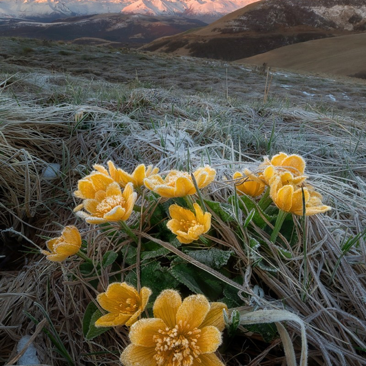 Фототур по Домбаю и Приэльбрусью. Фототуры и обучение пейзажной фотографии