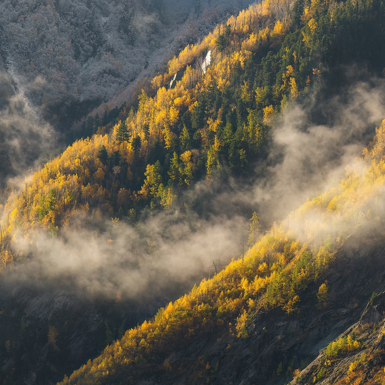 Осенний фототур по Алтаю