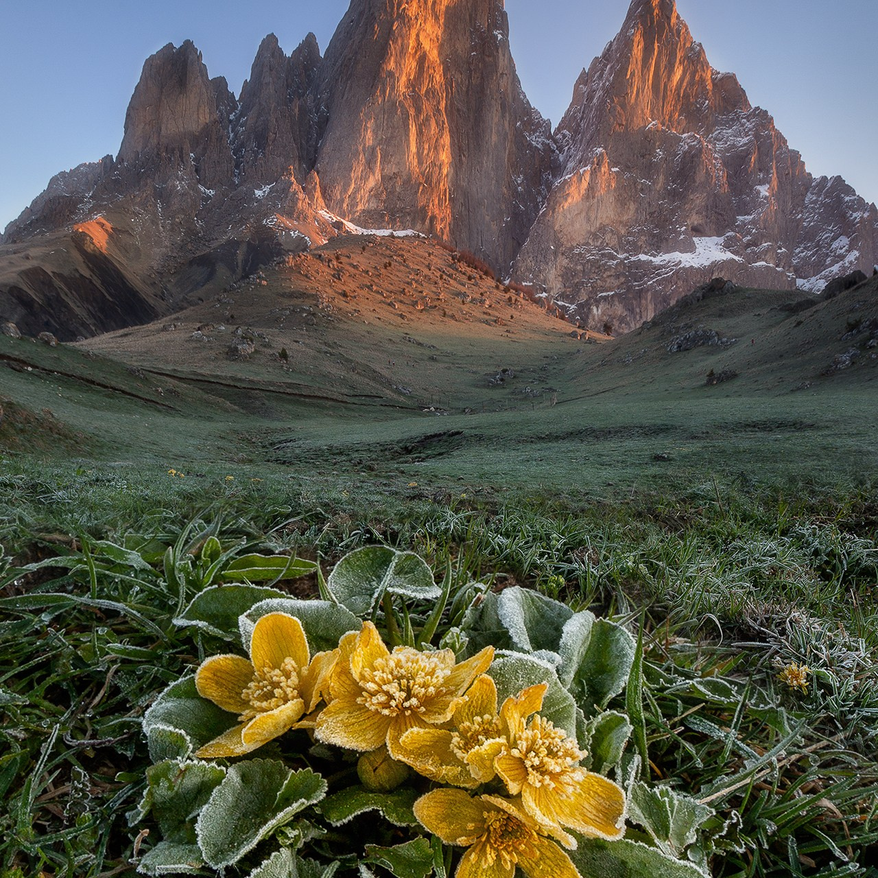 ИНГУШЕТИЯ ВОРКШОП 2025. Фототуры и обучение пейзажной фотографии