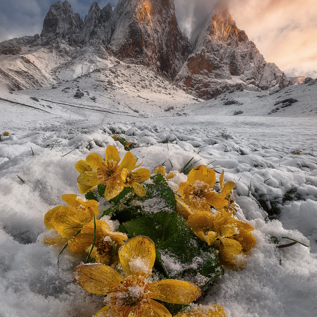 ИНГУШЕТИЯ ВОРКШОП 2025. Фототуры и обучение пейзажной фотографии