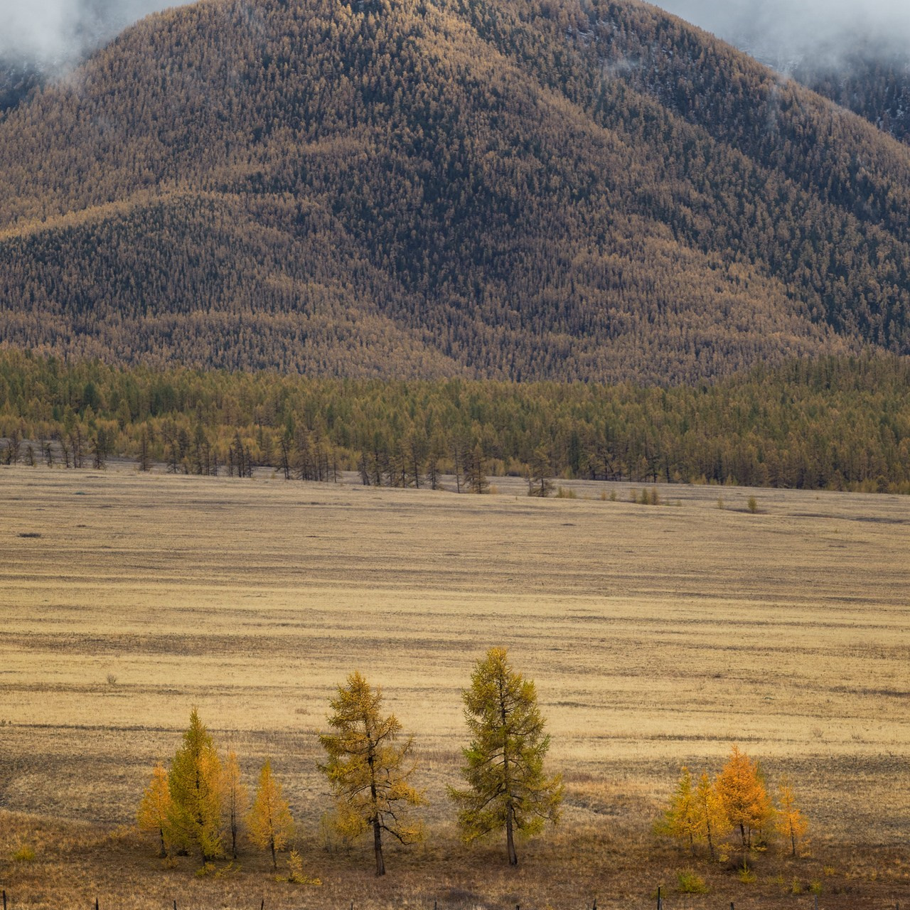 Осенний фототур по Алтаю