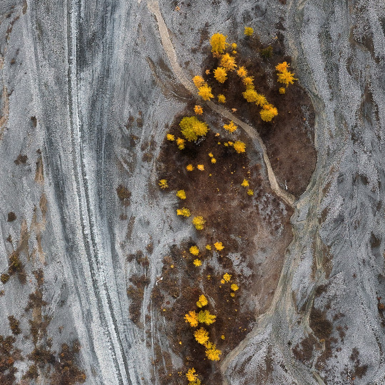 Осенний фототур по Алтаю