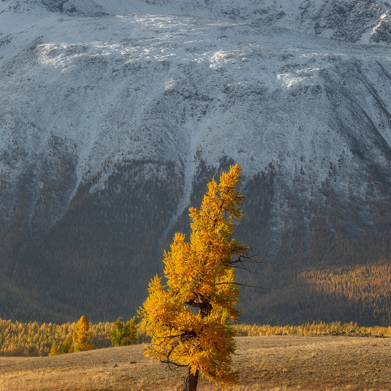 Осенний фототур по Алтаю