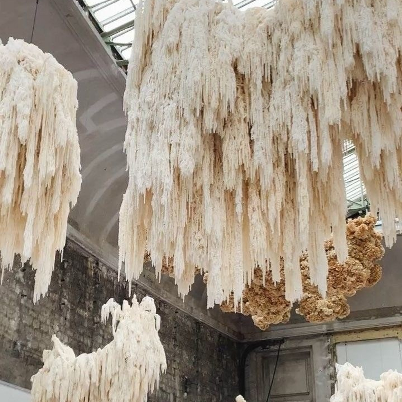 Тренды 2024. Свадебный фотограф Тольятти Самара Холмов Артем