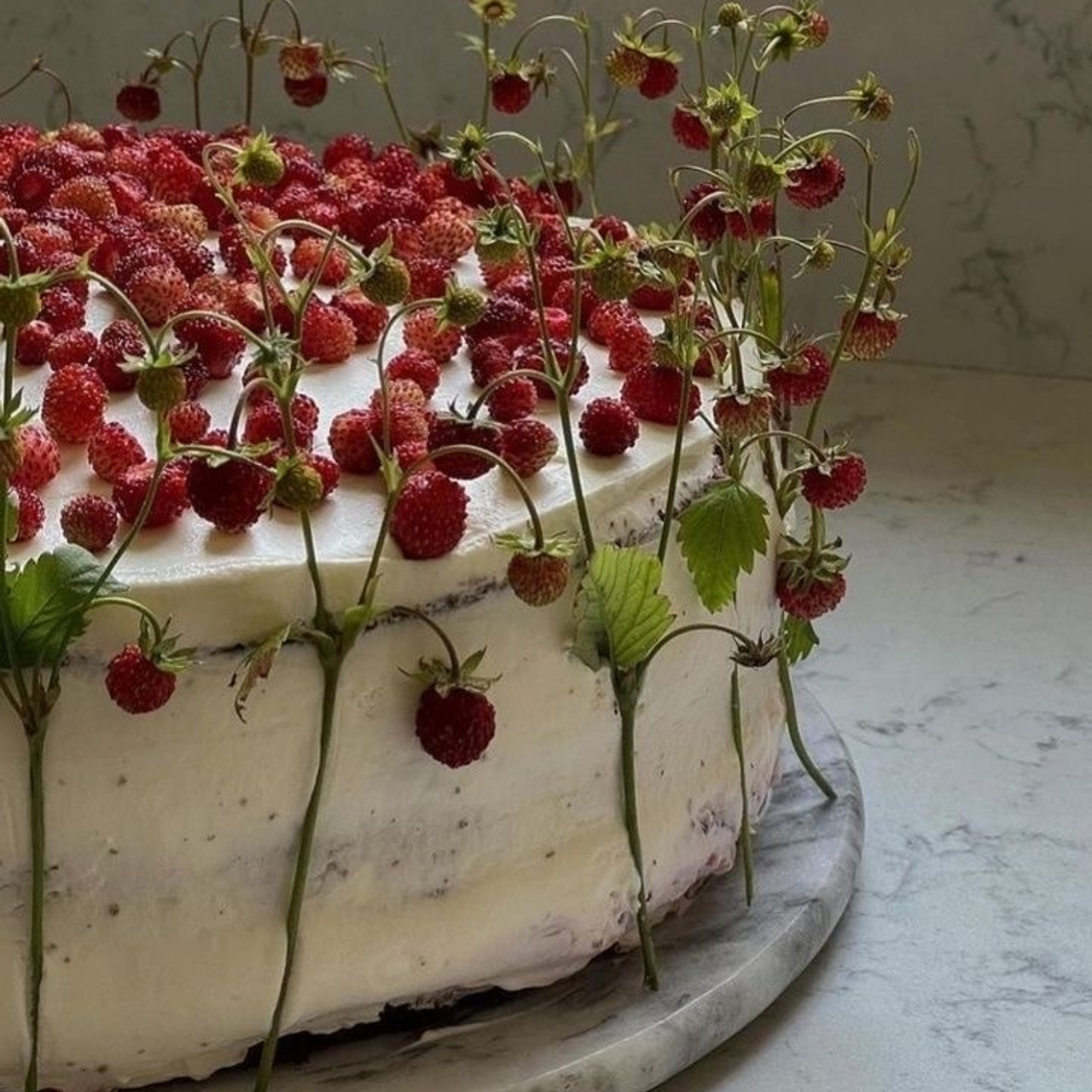 Тренды 2024. Свадебный фотограф Тольятти Самара Холмов Артем