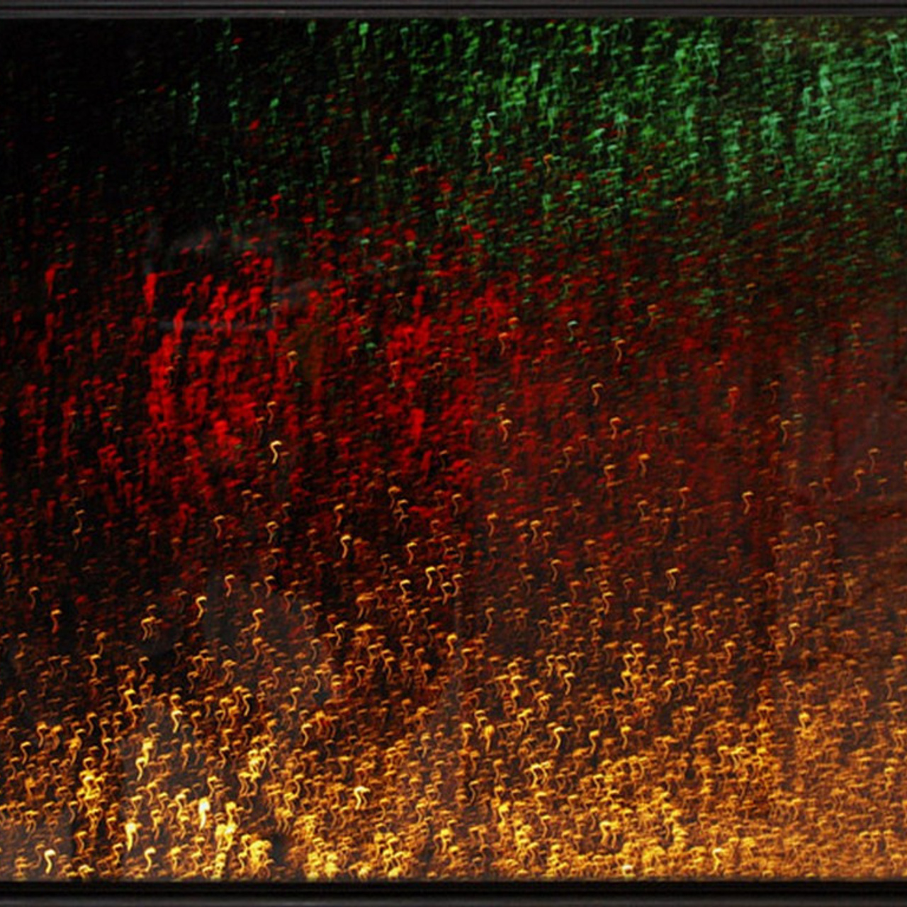 Екатерина Иванова