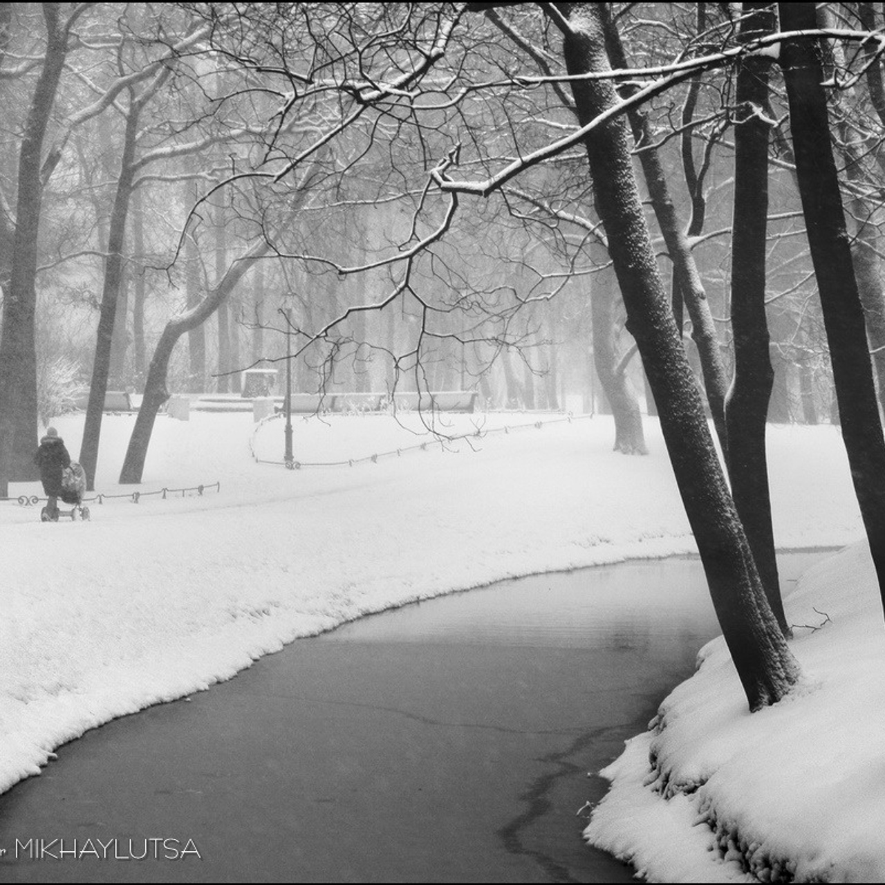 Фотограф Владимир Михайлуца, Таврический парк зимой в снегу. Черно-белое фото