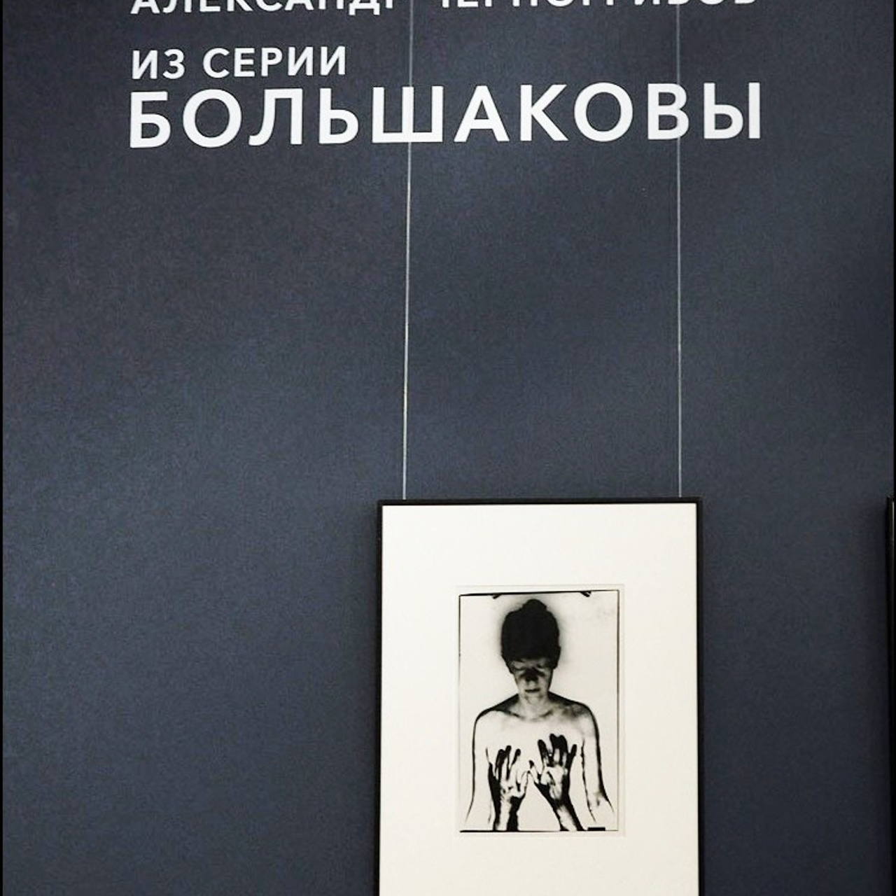 «Из серии Большаковы». Люминографическое общество СПБ