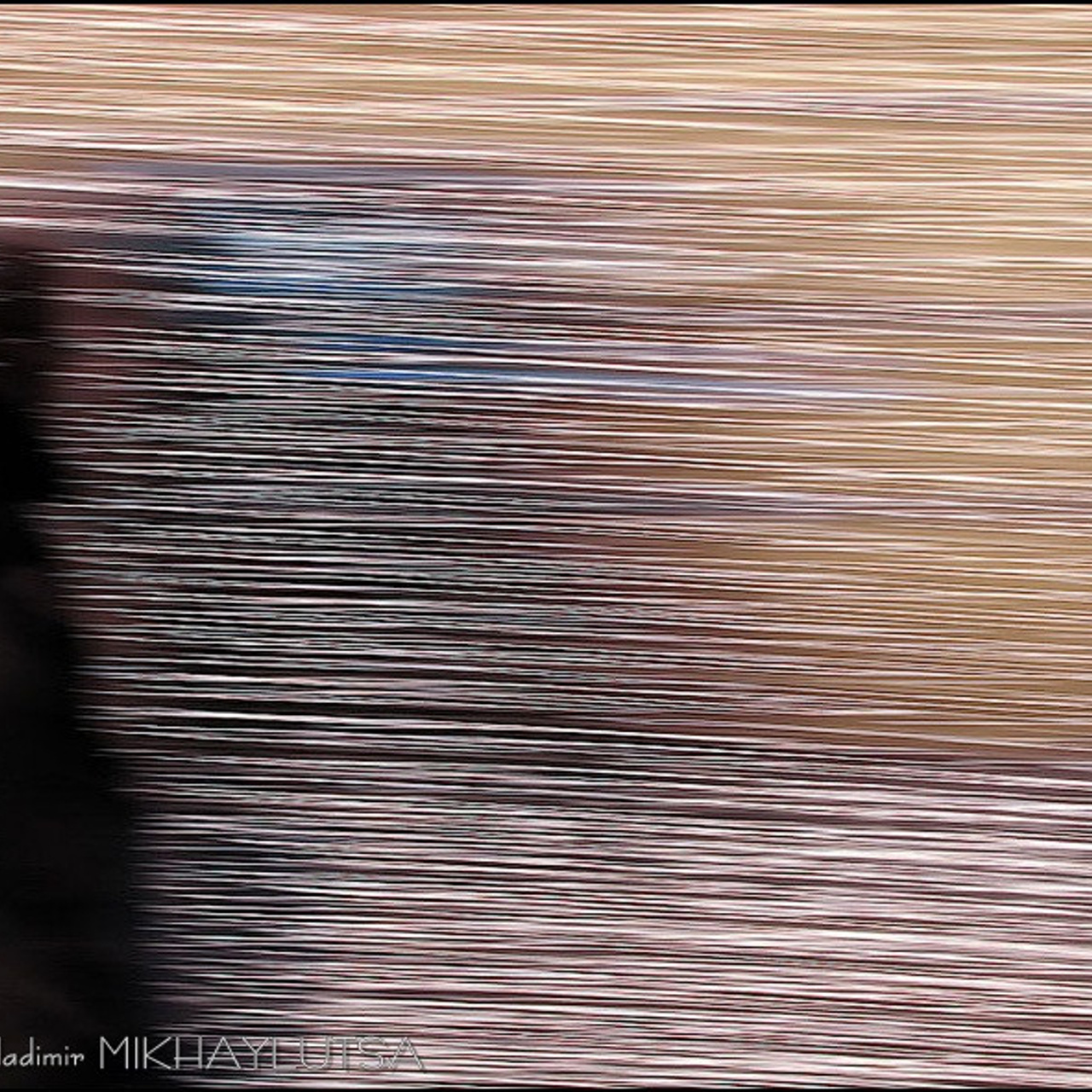 Владимир Михайлуца