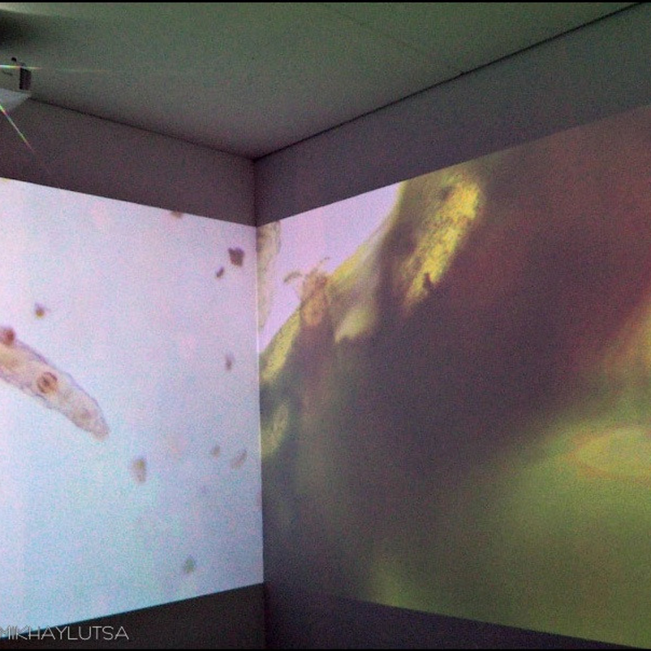 Киберфест-13 - Люминография - luminografia.ru