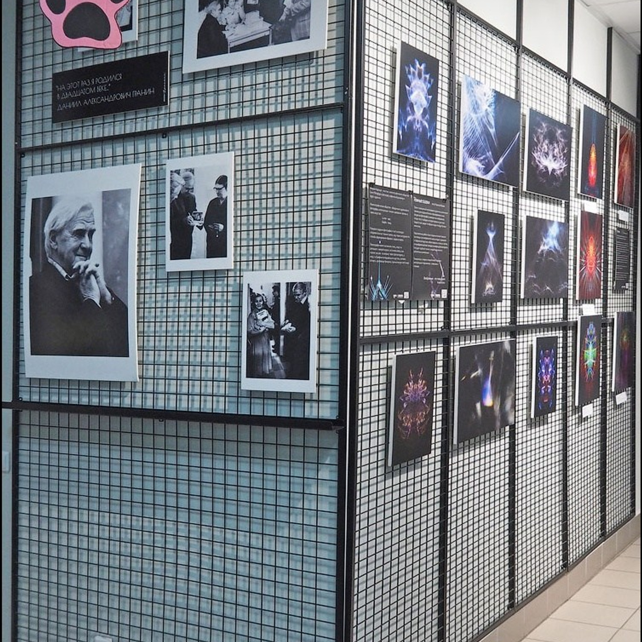 Марика Гексе, Надежда Зайцева, люминография. выставка