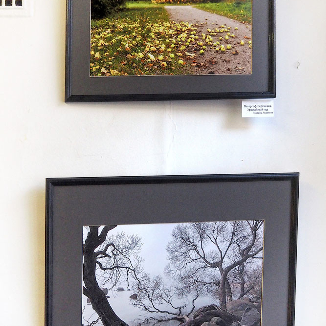 1001 фото Санкт-Петербурга - Люминография - luminografia.ru