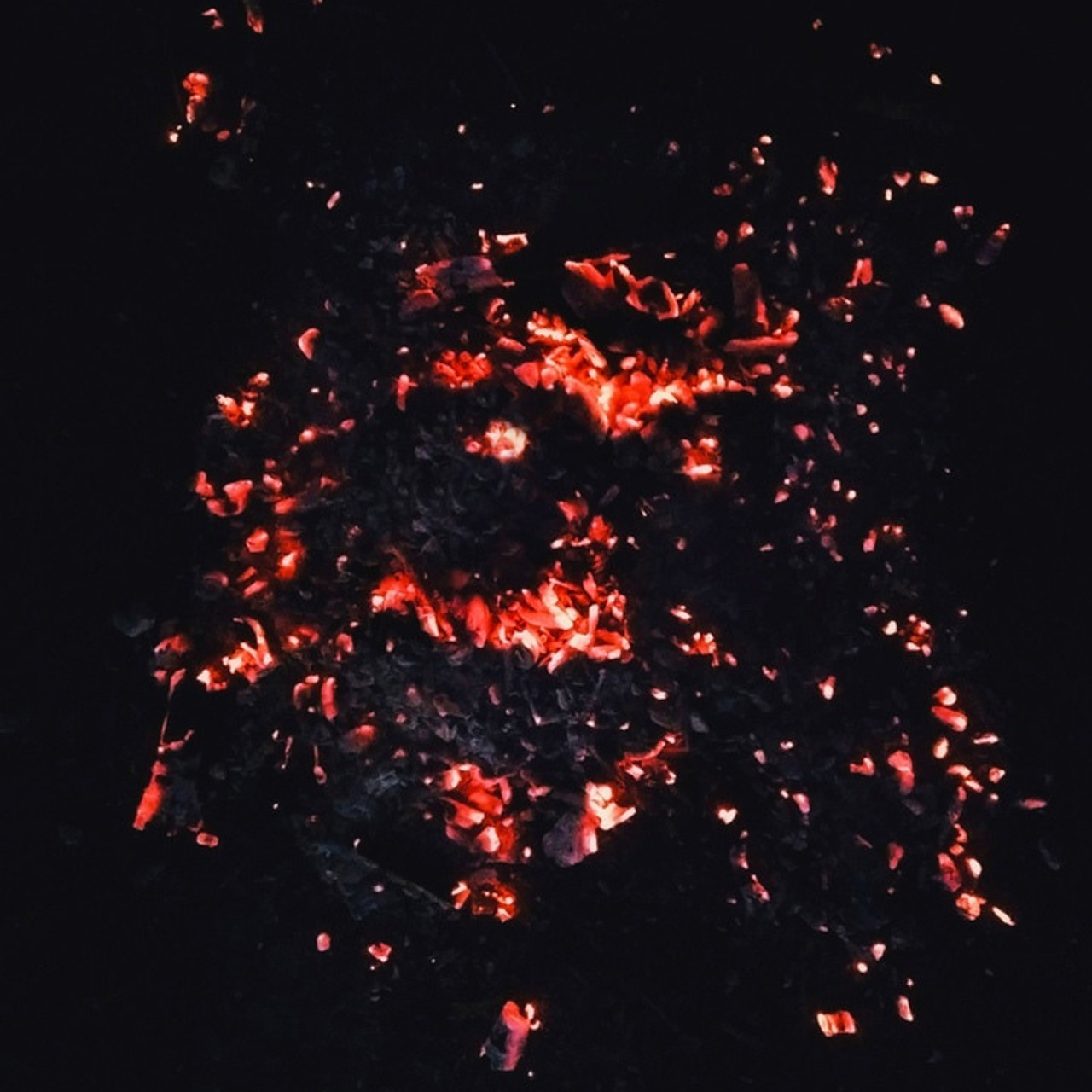 Петр Алексеев