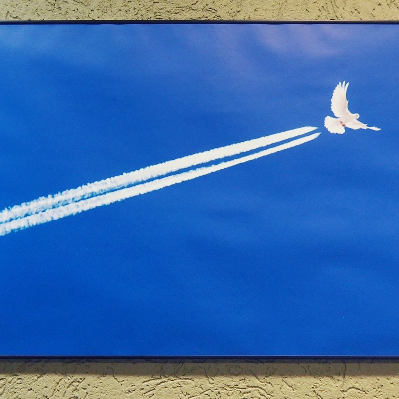 Выставка в галерее «МАСТЕР»