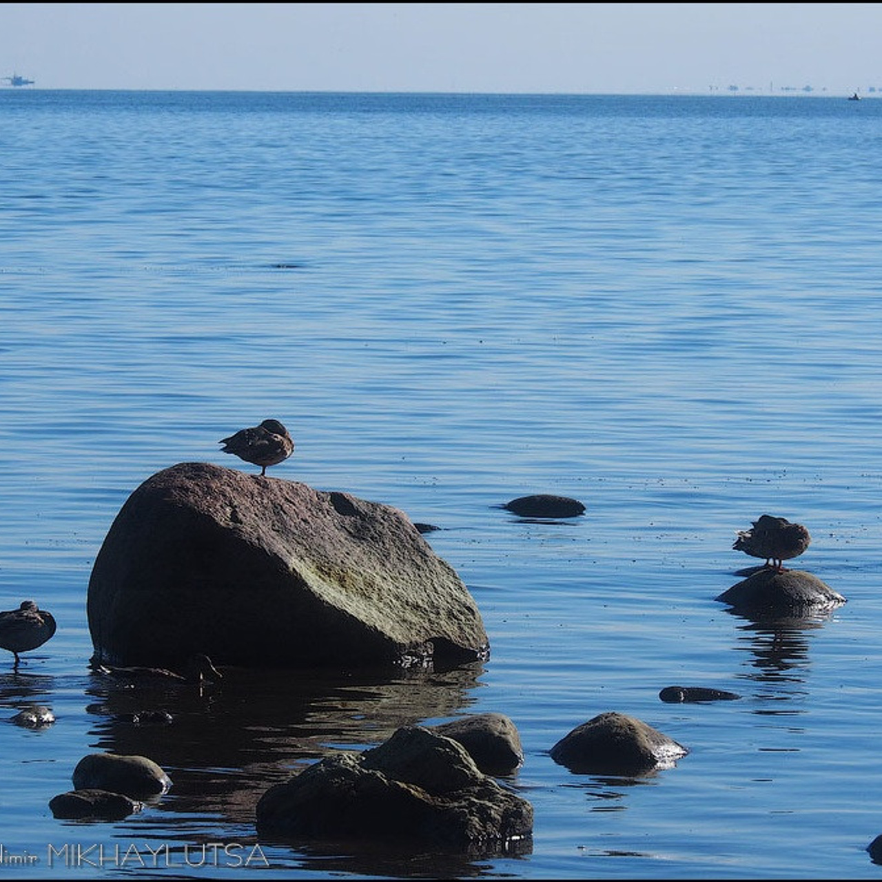 Мастер класс в Зеленогорске - Люминография - luminografia.ru