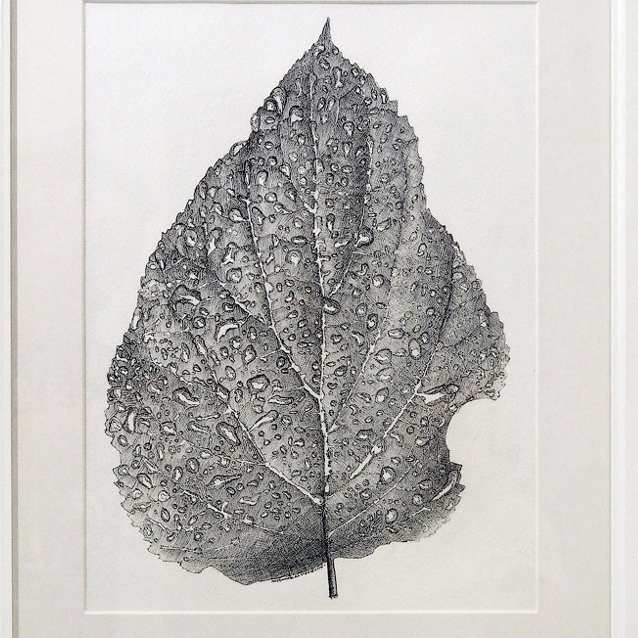 Очарование линии - Люминография - luminografia.ru