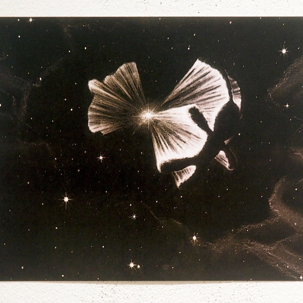 Выставка номинантов Премии С. Курехина- Люминография - luminografia.ru