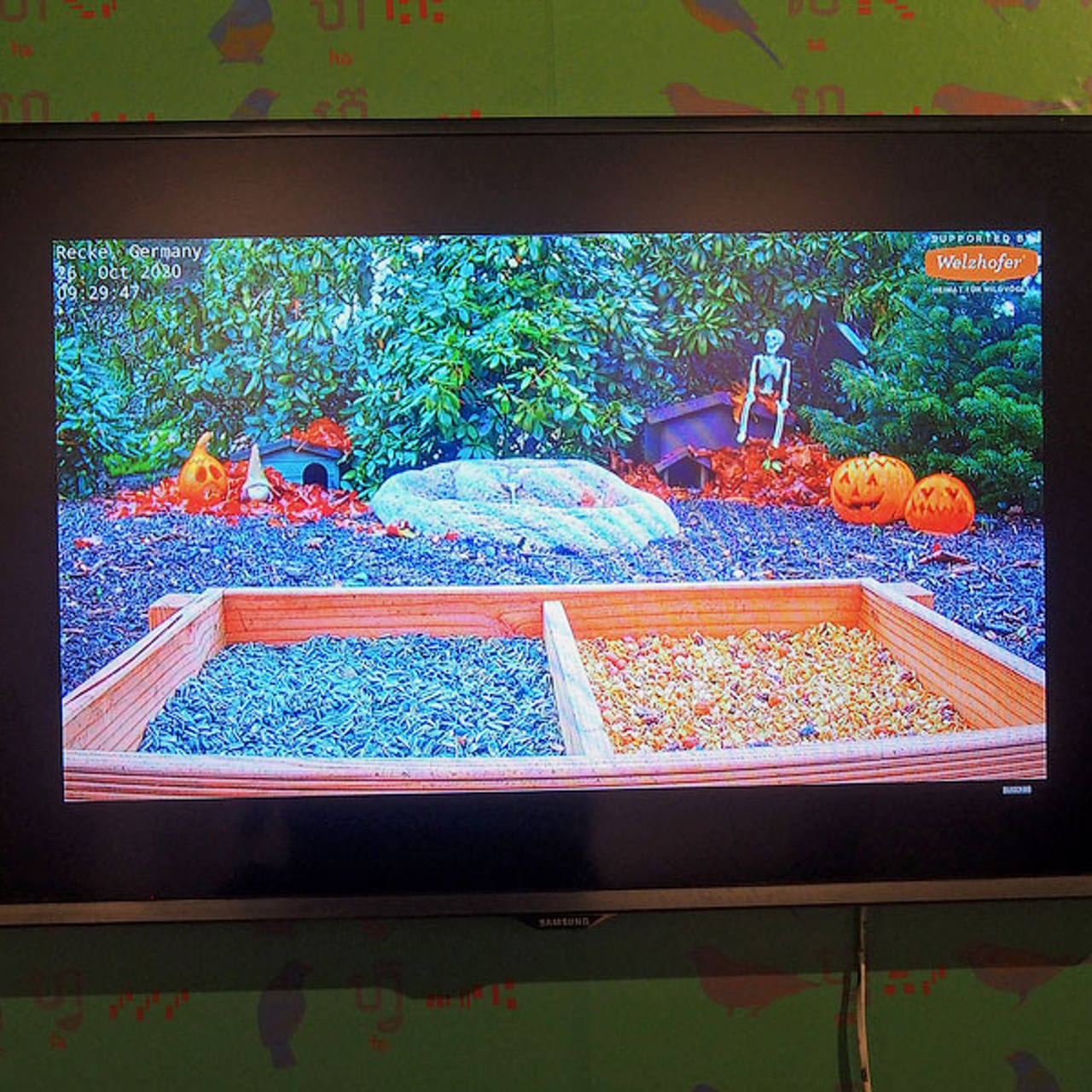 Выставка номинантов Премии С. Курехина- Люминография - luminografia.ru