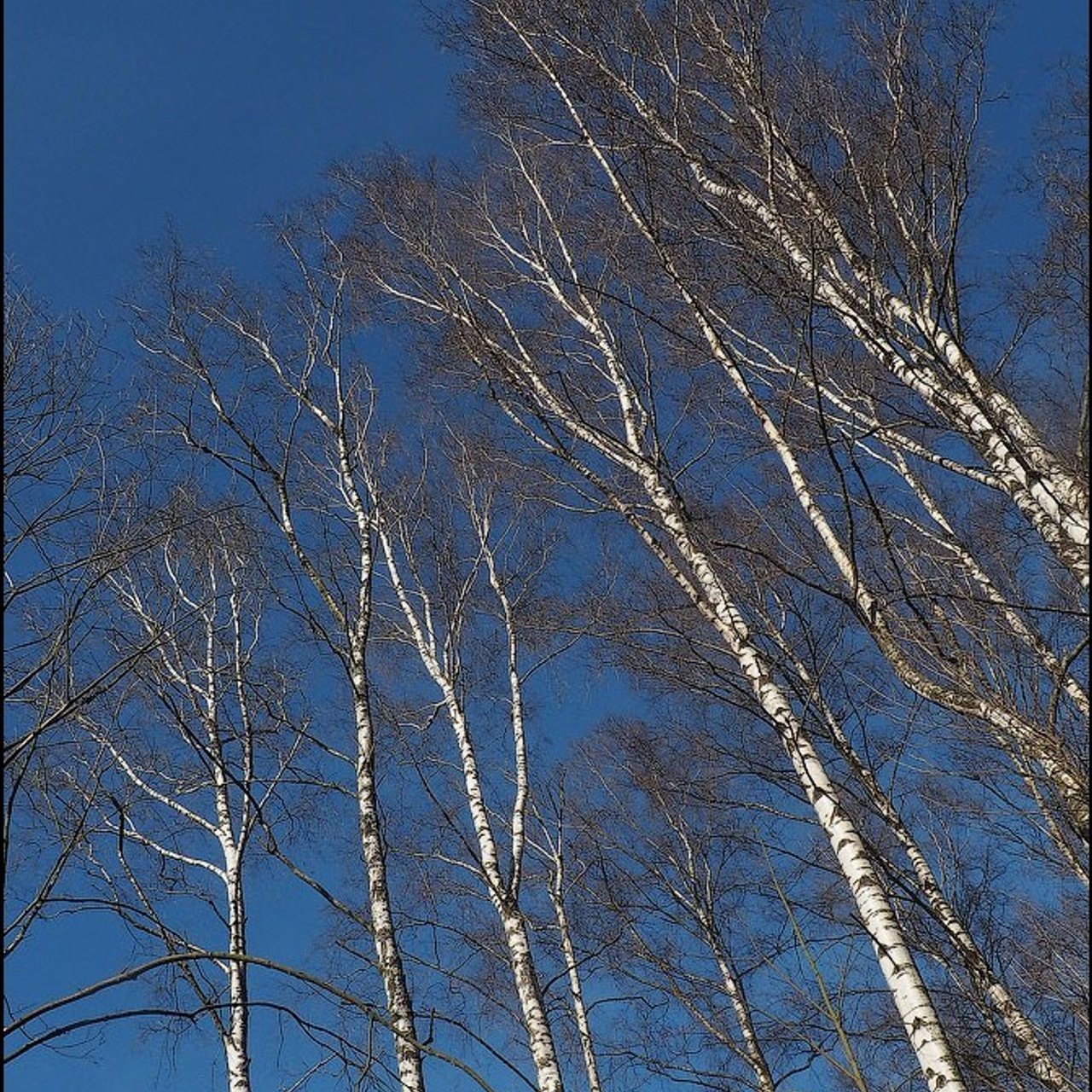 Валентин Самарин. 2026