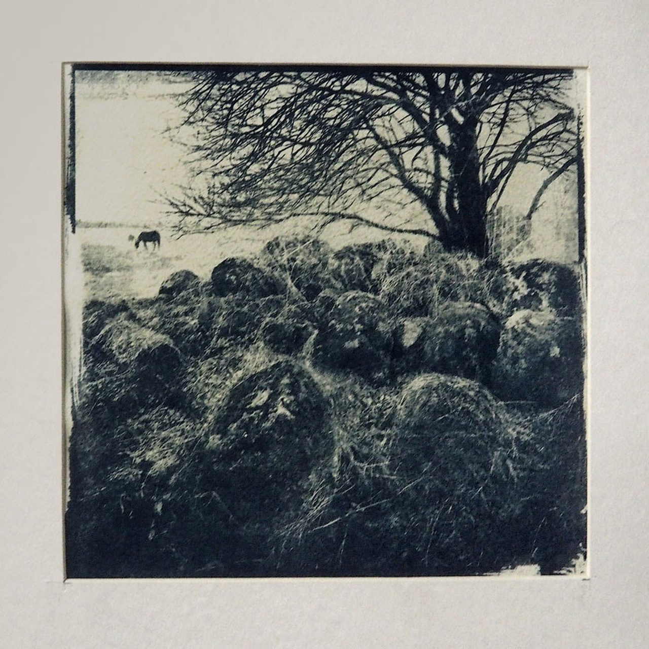 НЕ чёрный, НО квадрат - Люминография - luminografia.ru