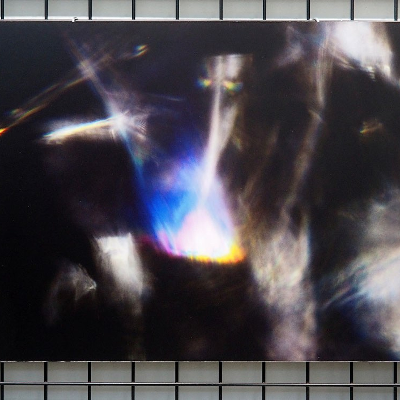 Надежда Зайцева, люминография. выставка