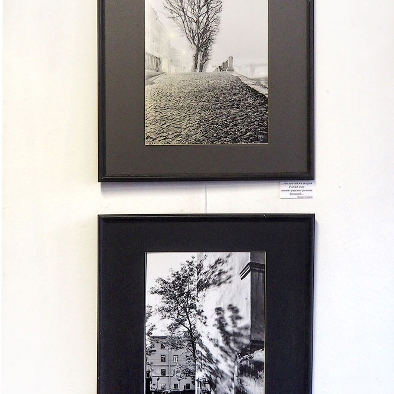 1001 фото Санкт-Петербурга - Люминография - luminografia.ru