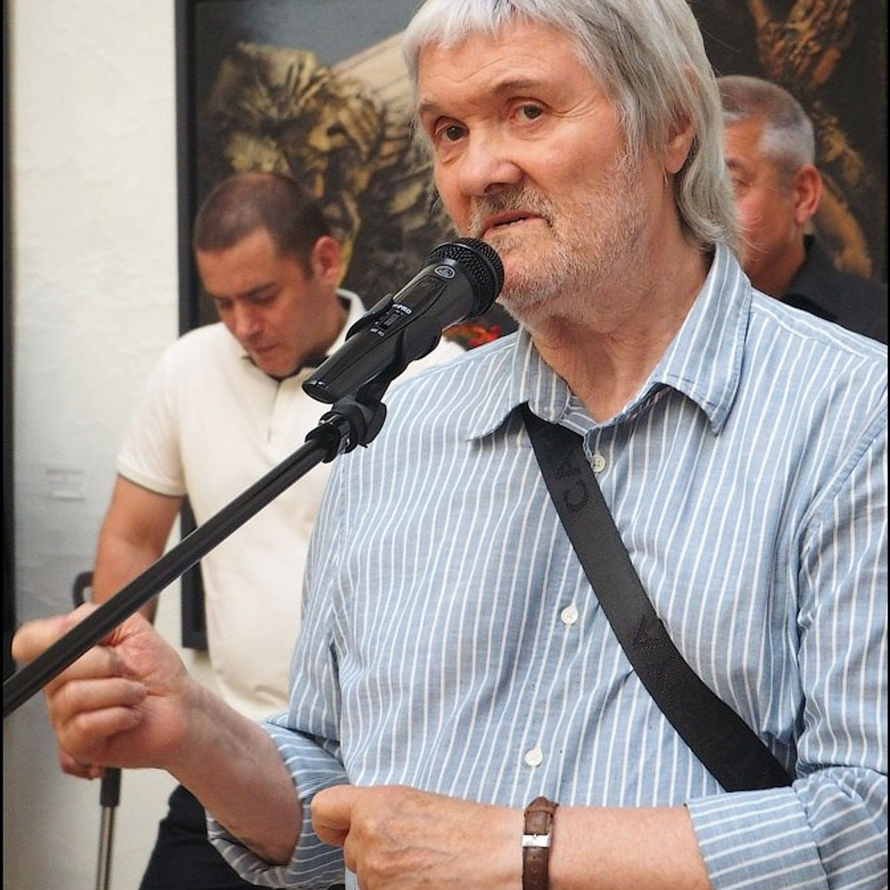 художник Вячеслав Михайлов