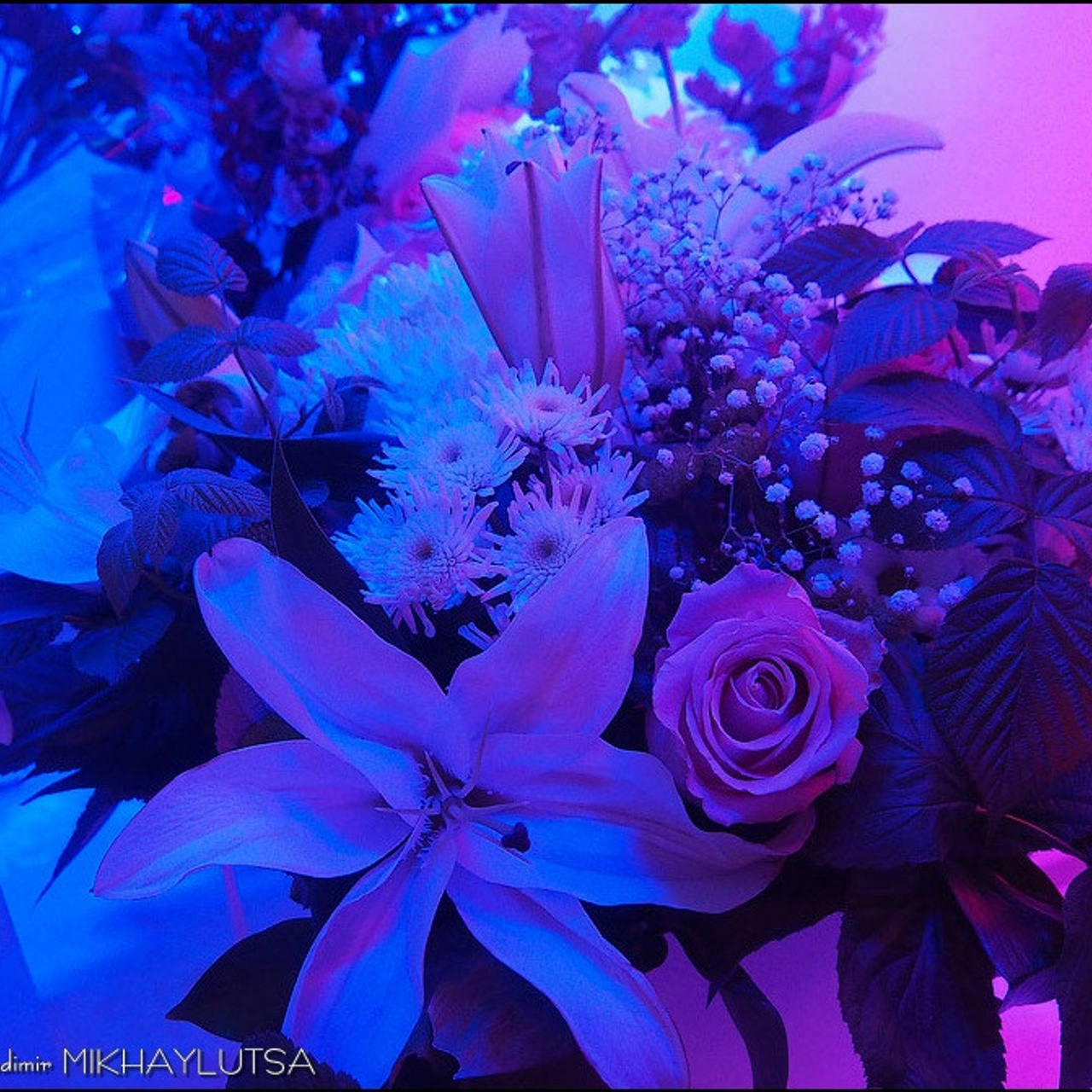 Надежда Николаева «СОБСТВЕННЫЙ ПОЧЕРК»- Люминография - luminografia.ru