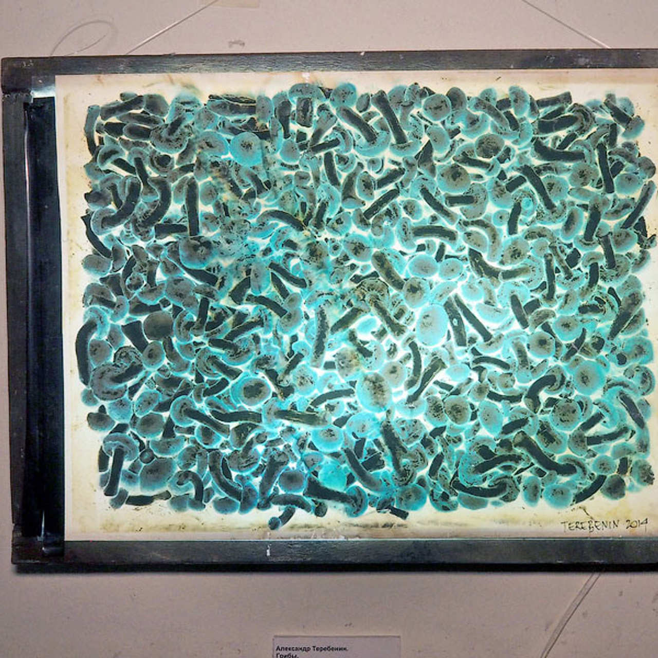 Восстание лайтбоксеров - Люминография - luminografia.ru