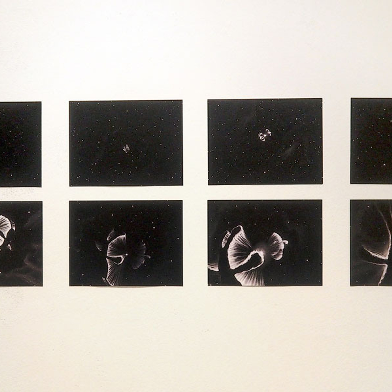 Выставка номинантов Премии С. Курехина- Люминография - luminografia.ru