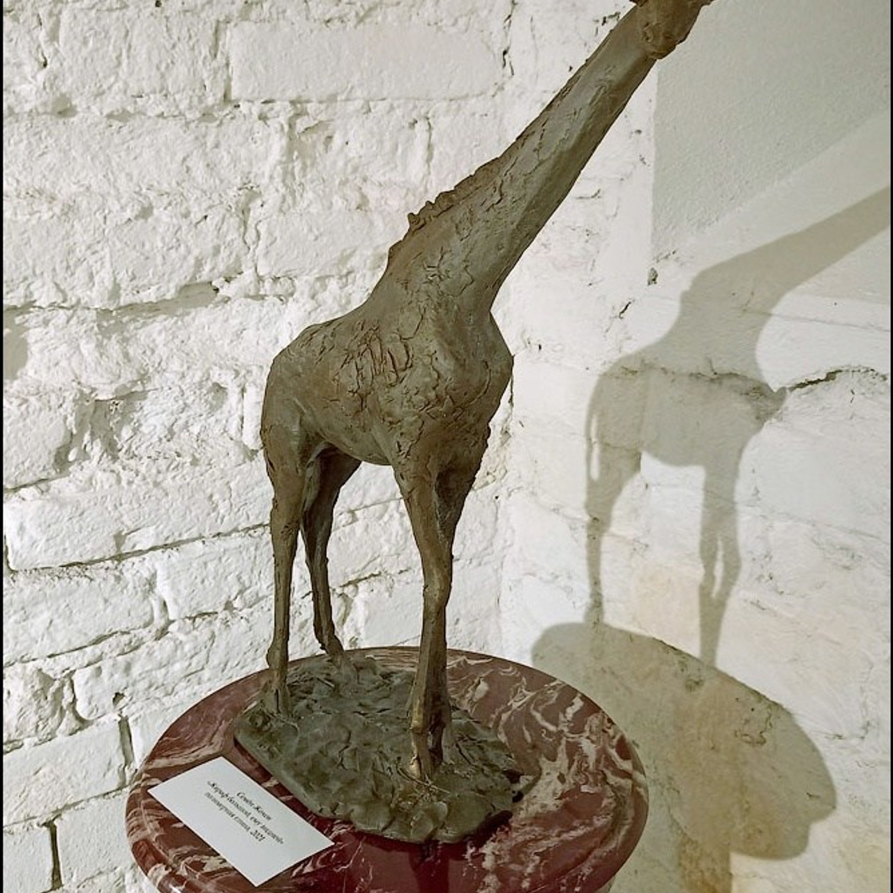 Владимиру Высоцкому посвящается