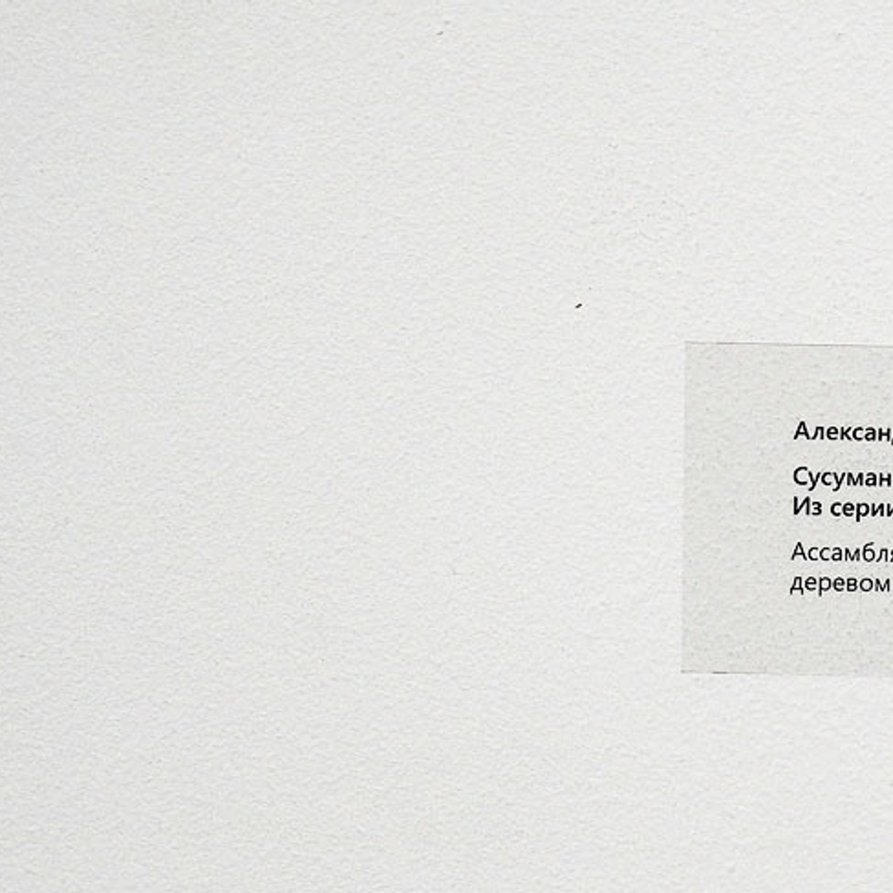 Ольга Булгакова и Александр Ситников - Люминография - luminografia.ru