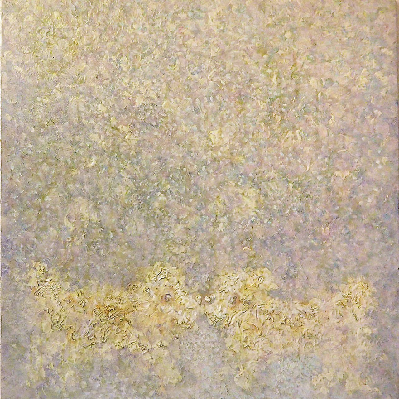 Николай Гавриленко. За кулисами - Люминография - luminografia.ru