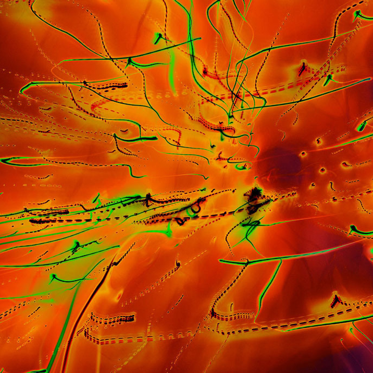 СВЕТОДЕЛИКА '2015 - Люминография - luminografia.ru