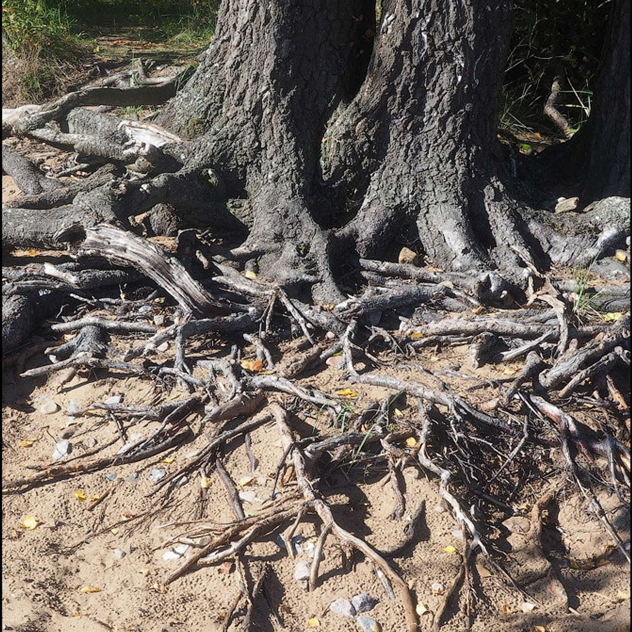 Мастер класс в Зеленогорске - Люминография - luminografia.ru