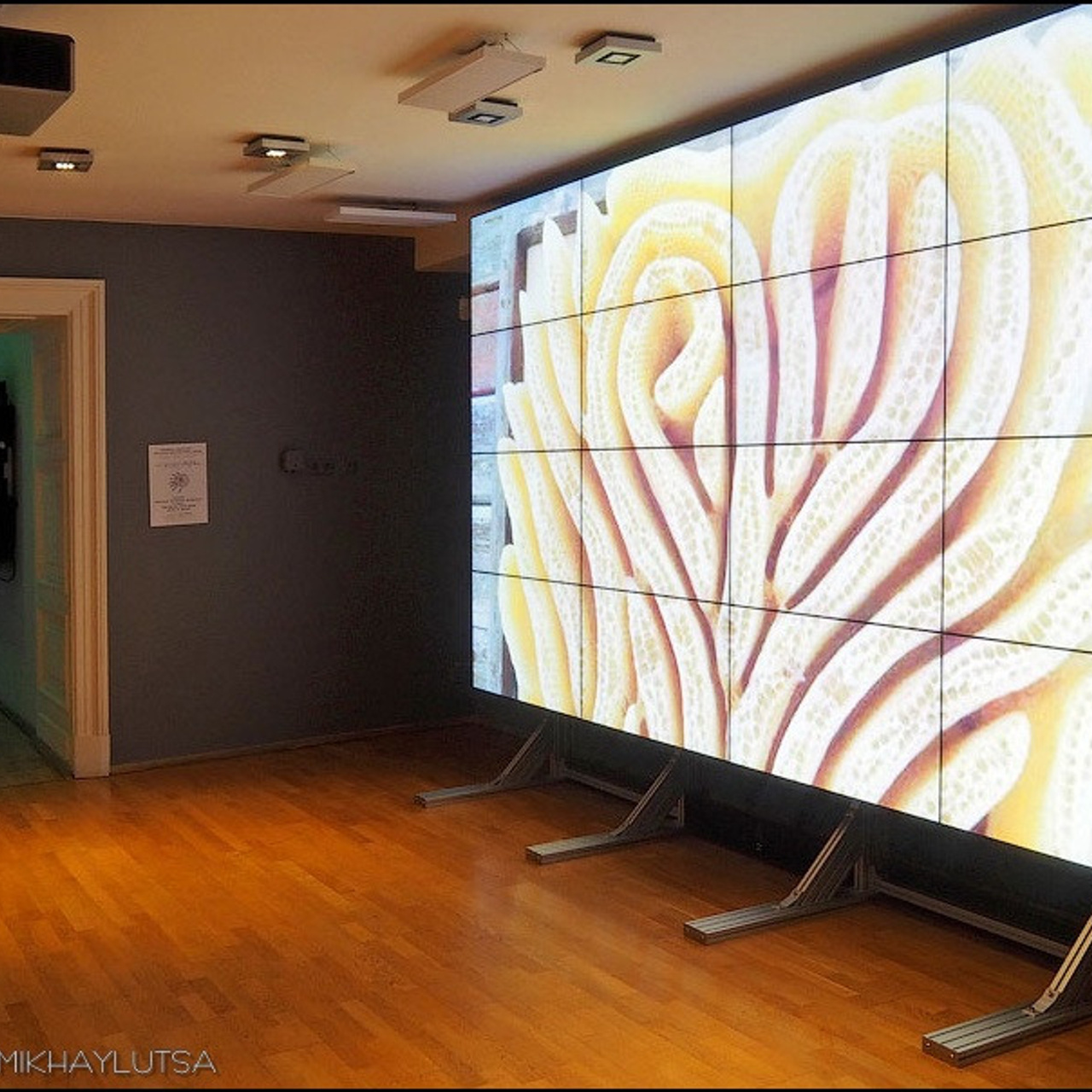 Посвящение космонавтике - Люминография - luminografia.ru