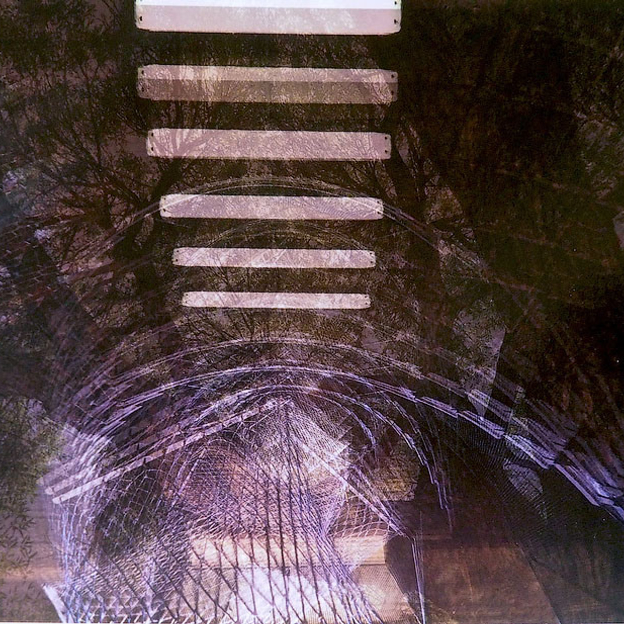 Восьмая осень. - Люминография - luminografia.ru