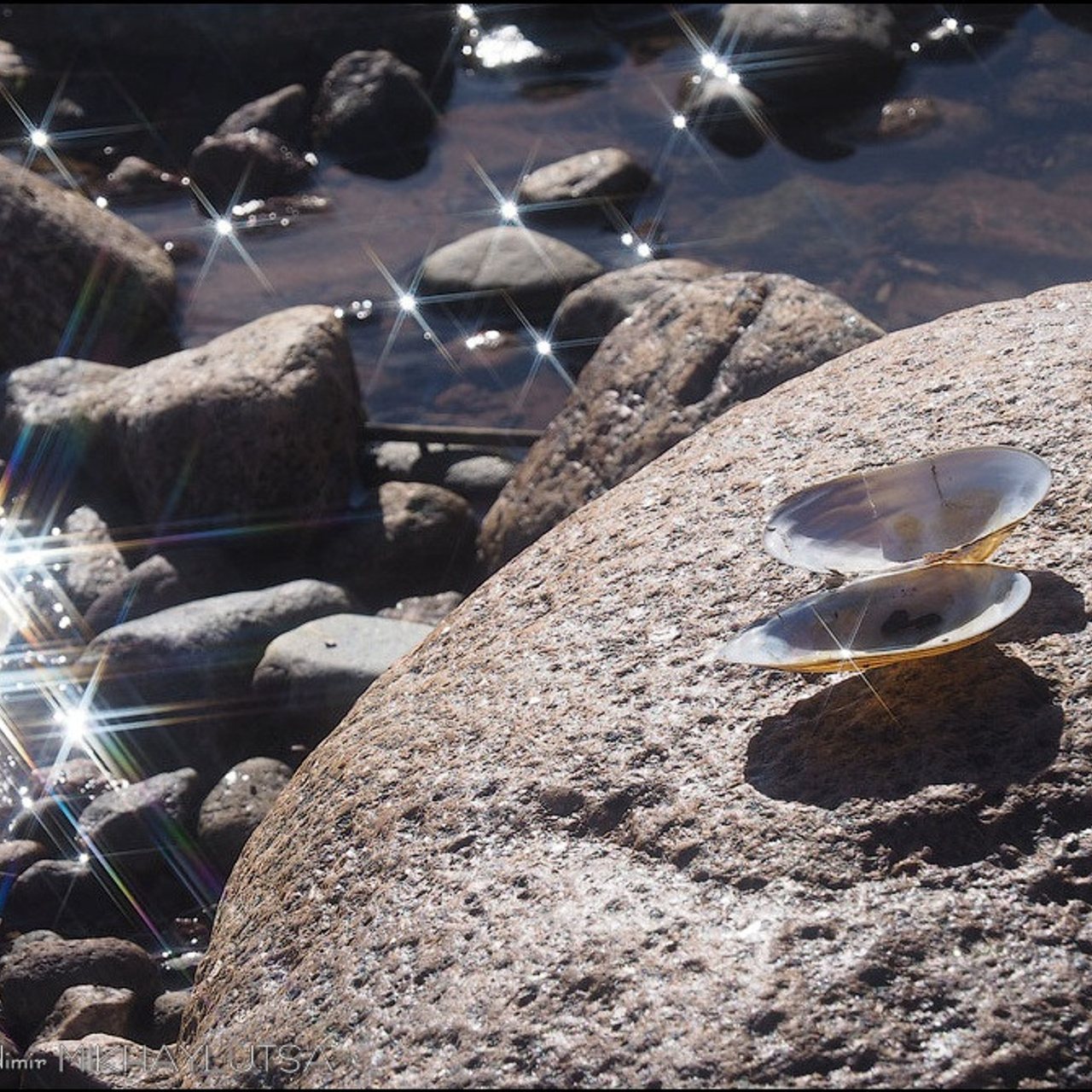 Мастер класс в Зеленогорске - Люминография - luminografia.ru