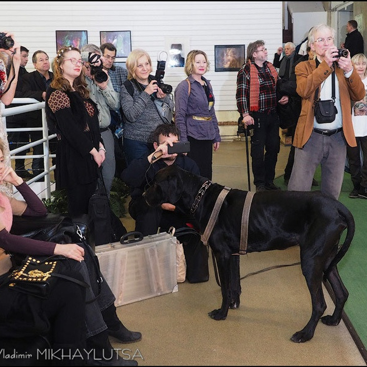 Выставка Люминографического общества - Люминография - Luminografia.ru