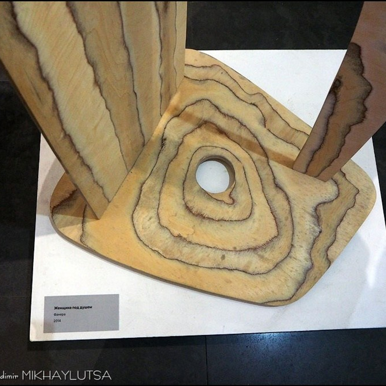 Никита Ротанов «В предвкушении тепловесны»