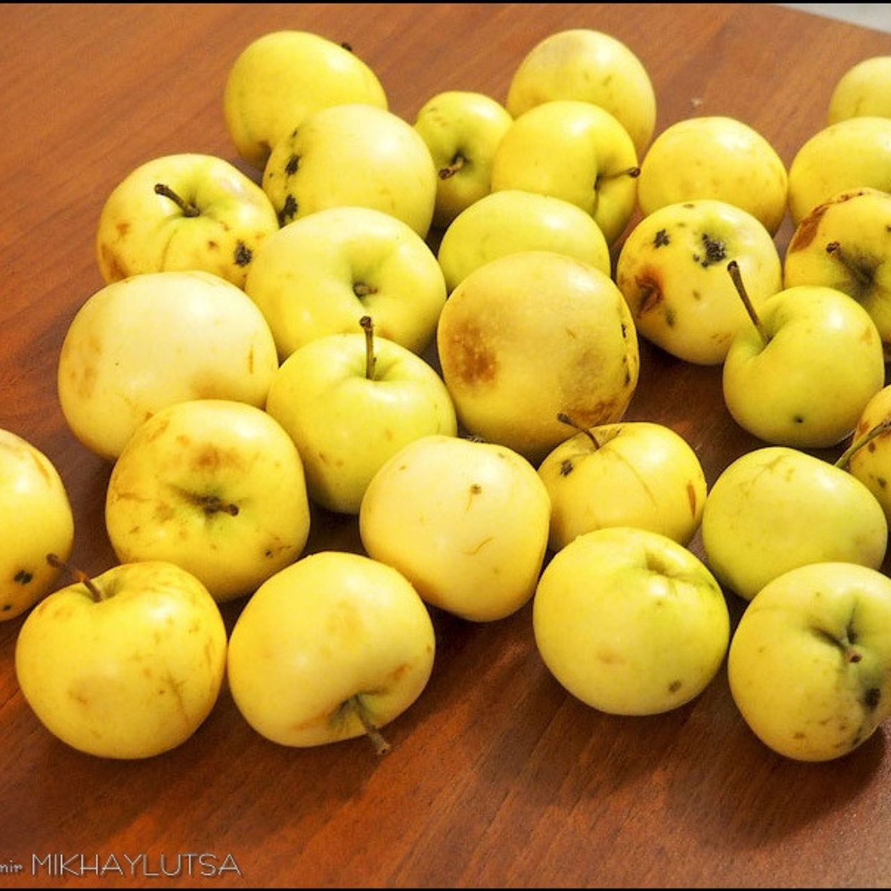 Олег Ильдюков «Демисезон» - Люминография - luminografia.ru