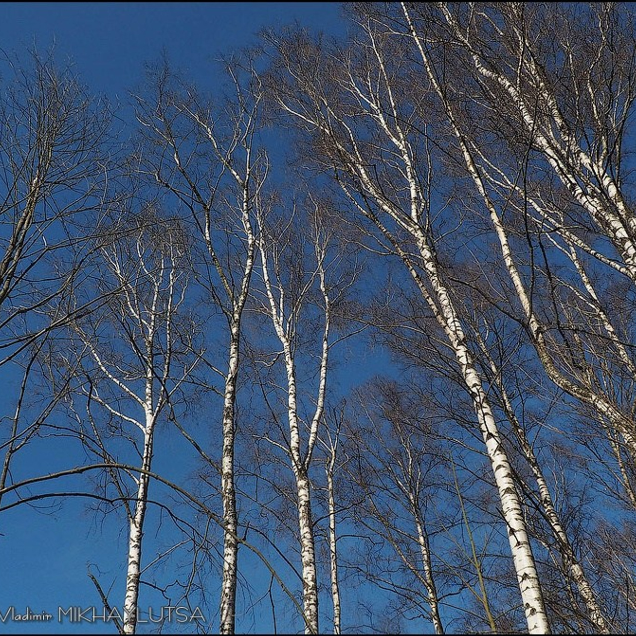 Валентин Самарин. 2026