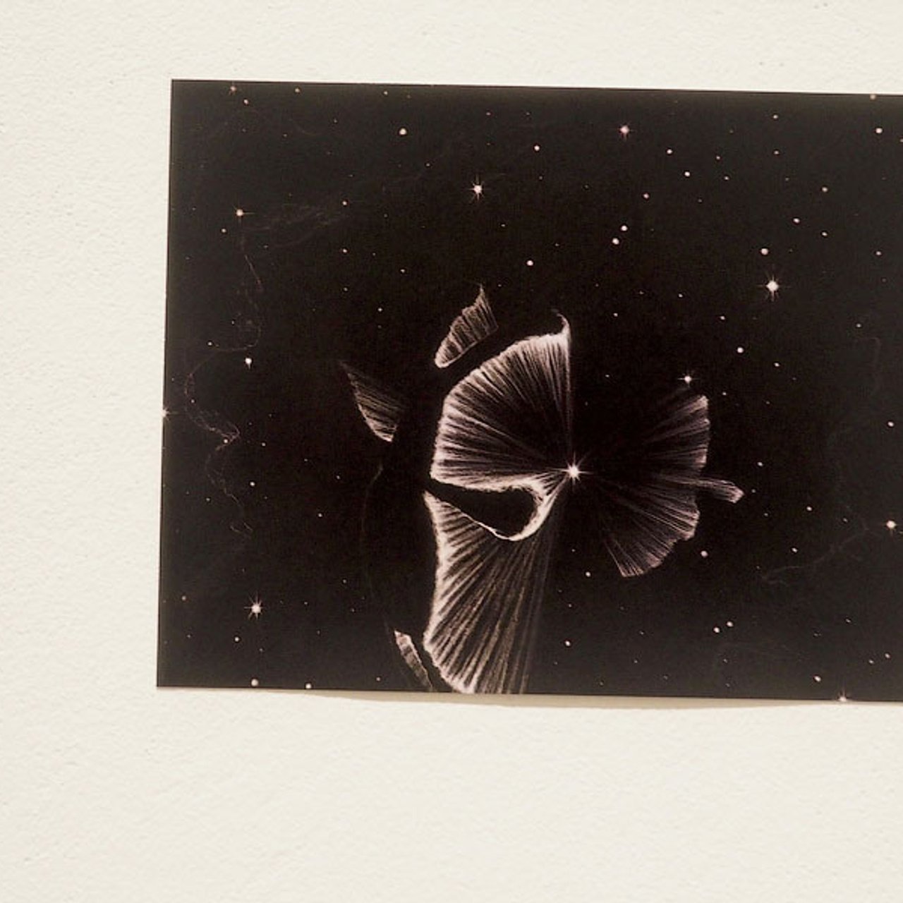 Выставка номинантов Премии С. Курехина- Люминография - luminografia.ru