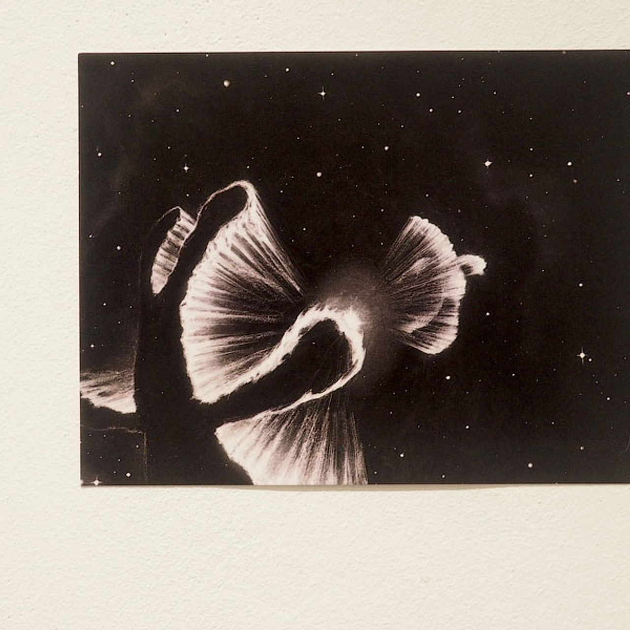 Выставка номинантов Премии С. Курехина- Люминография - luminografia.ru