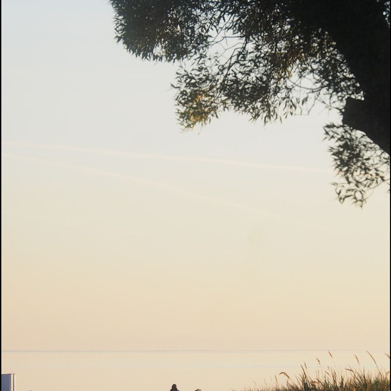 Мастер класс в Зеленогорске - Люминография - luminografia.ru