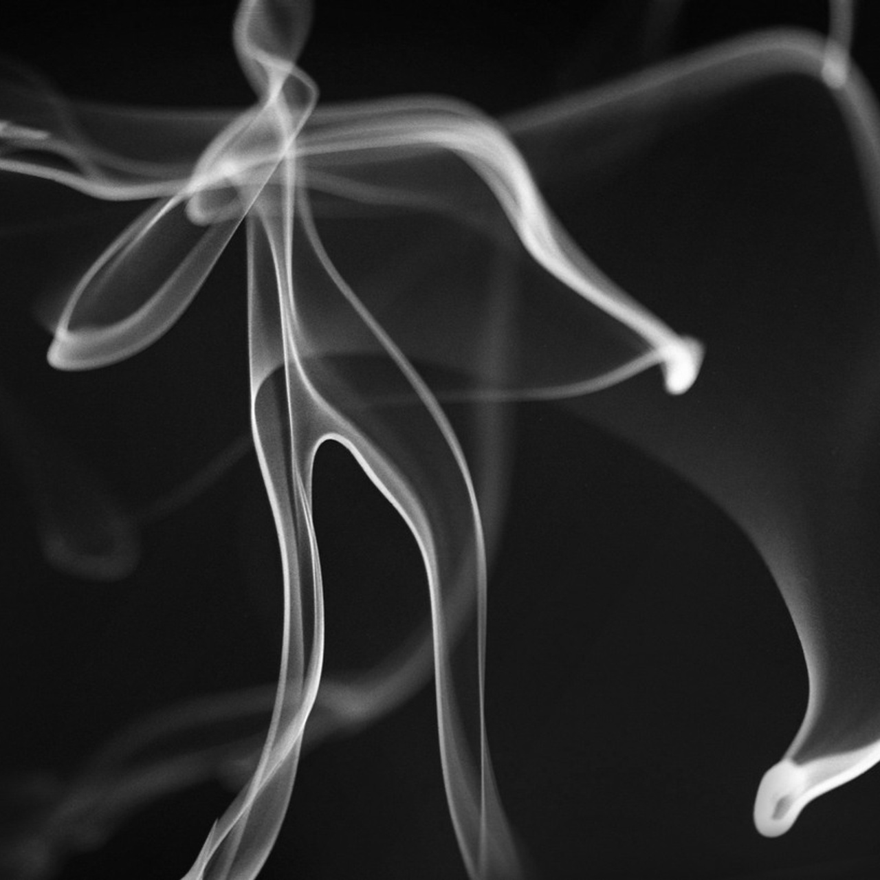 Фото-мода = Фото-жизнь - Люминография - luminografia.ru