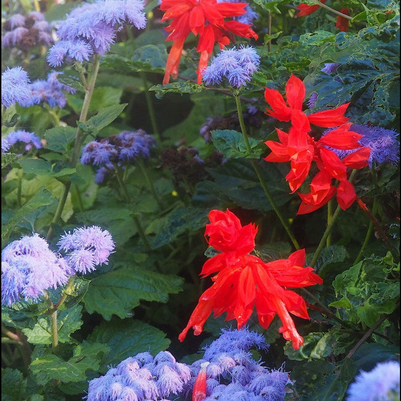 Мастер класс в Зеленогорске - Люминография - luminografia.ru